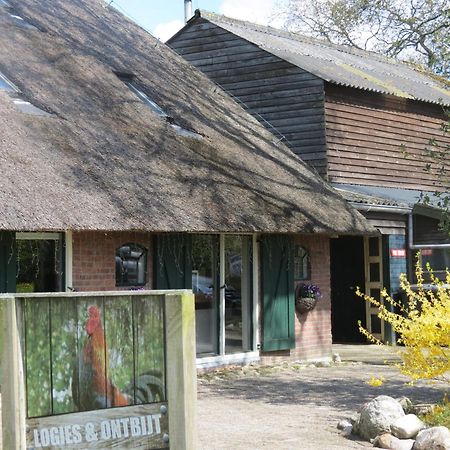 B&B De Berghoeve Ruinen Esterno foto